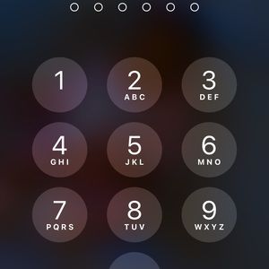 Meet your Posher, Frances